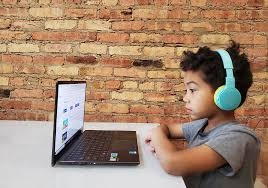 Diverse Online Learners
